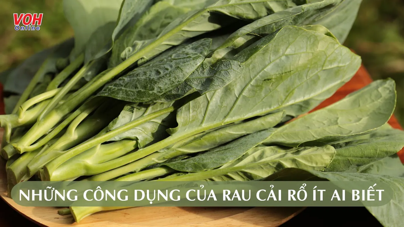 8 tác dụng của rau cải mèo – ‘tinh hoa’ trời đất ở miền Tây Bắc
