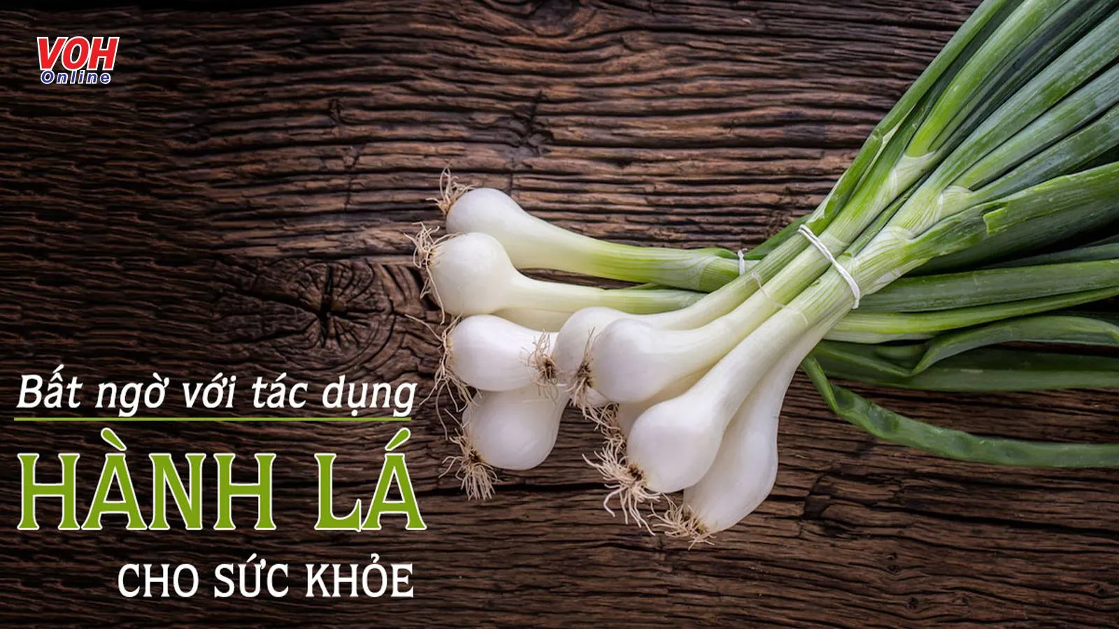 Khám phá 9 tác dụng của hành lá ít người biết