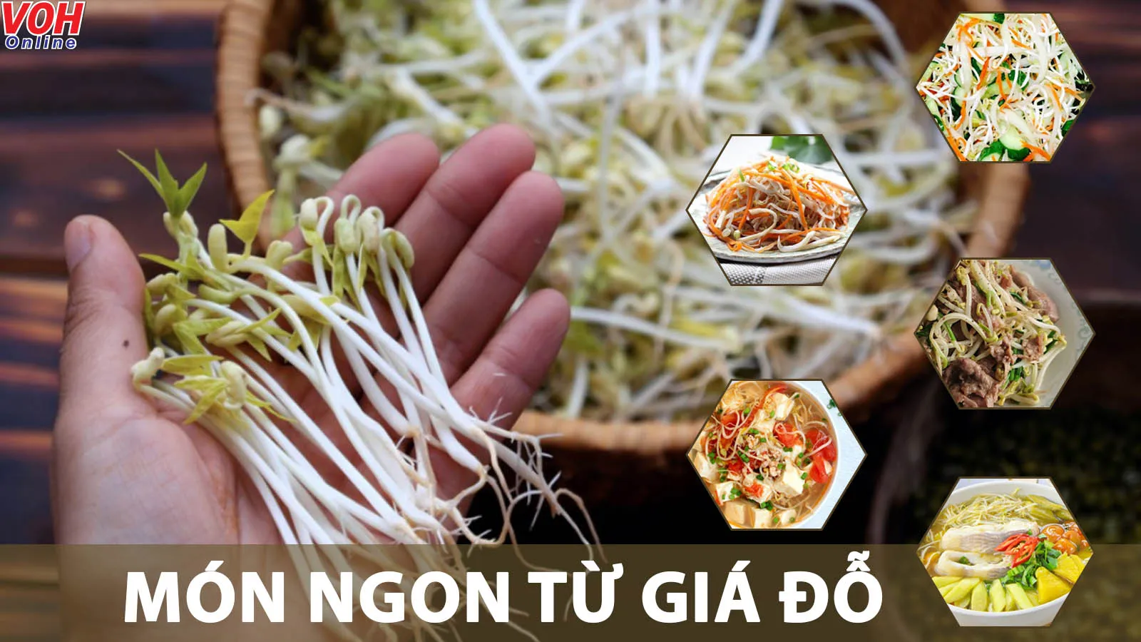 9 món ngon với giá đỗ giúp đổi vị bữa cơm