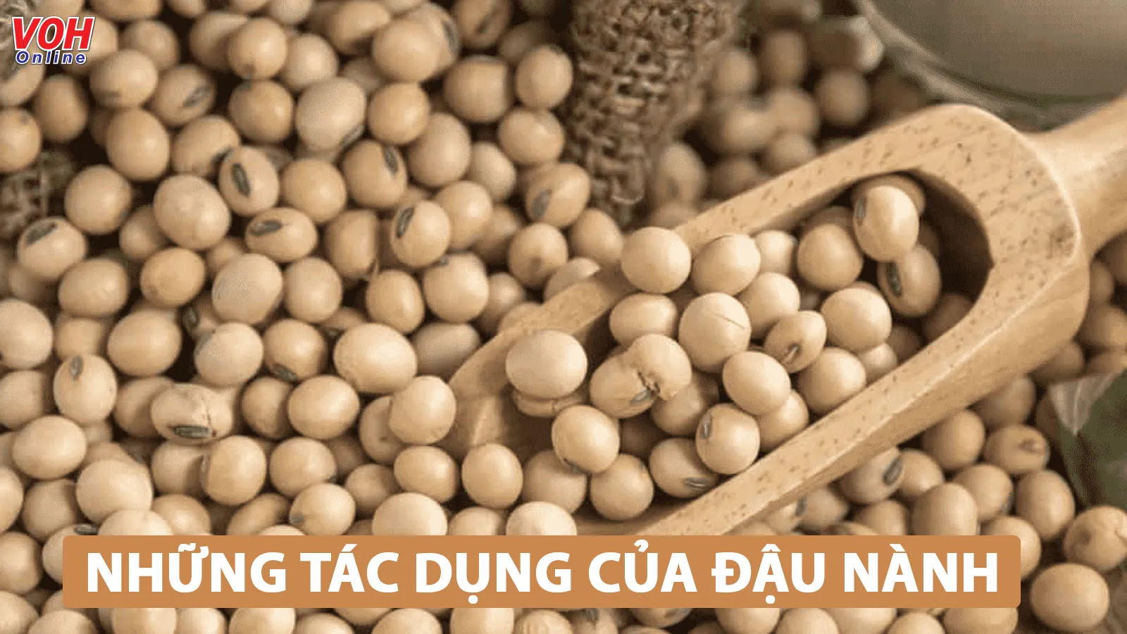 Đậu nành có tác dụng gì đối với sức khỏe?