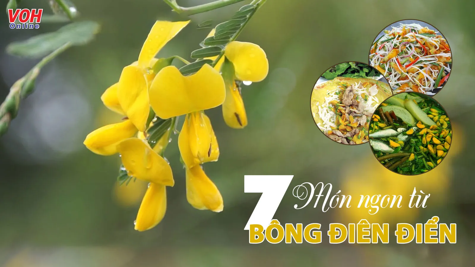 Bông điên điển làm gì ngon? Có ngay 7 món ăn đặc sản miền Tây