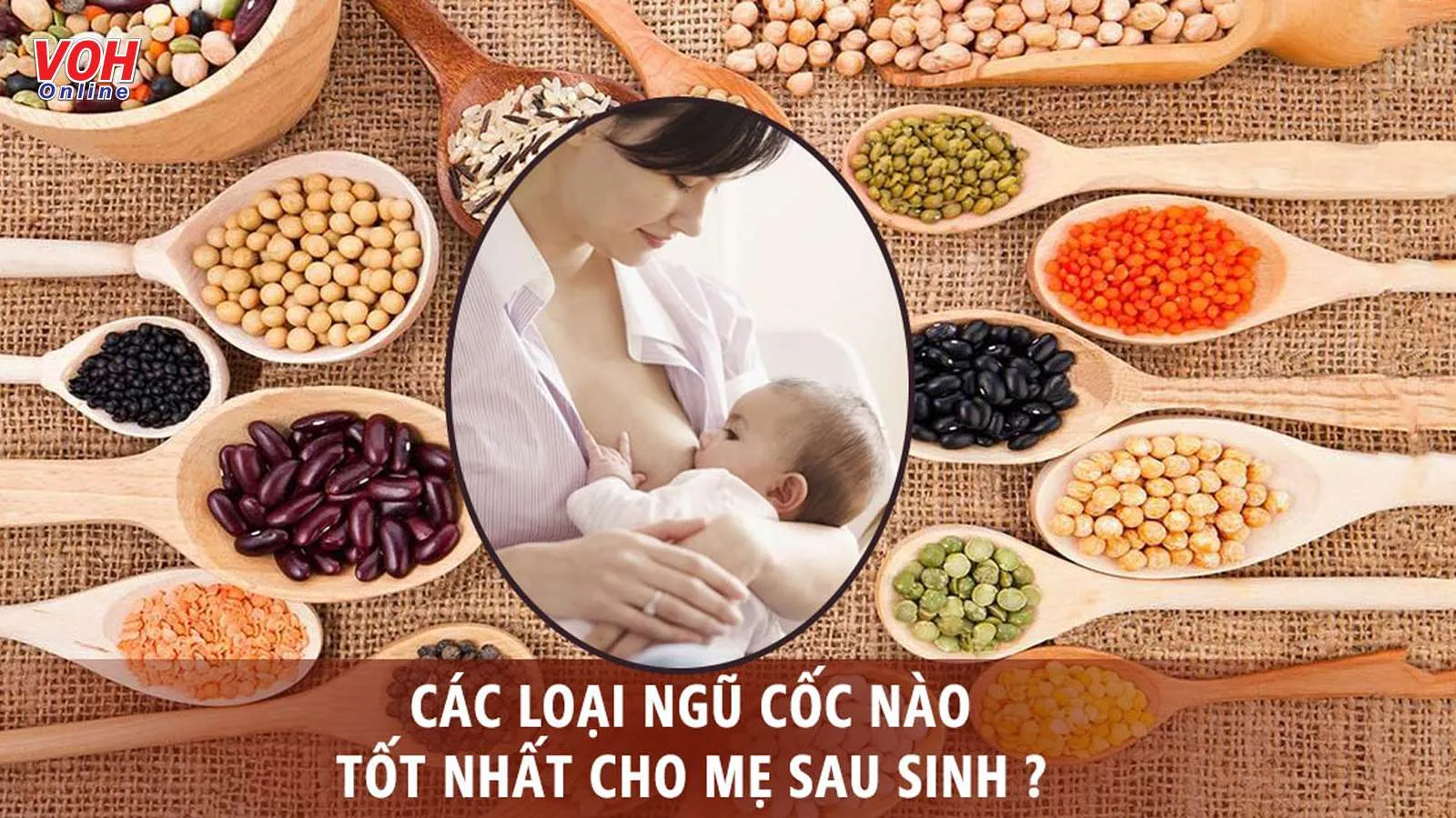 Các loại ngũ cốc lợi sữa giúp mẹ gọi sữa về nhiều, con bú no nê