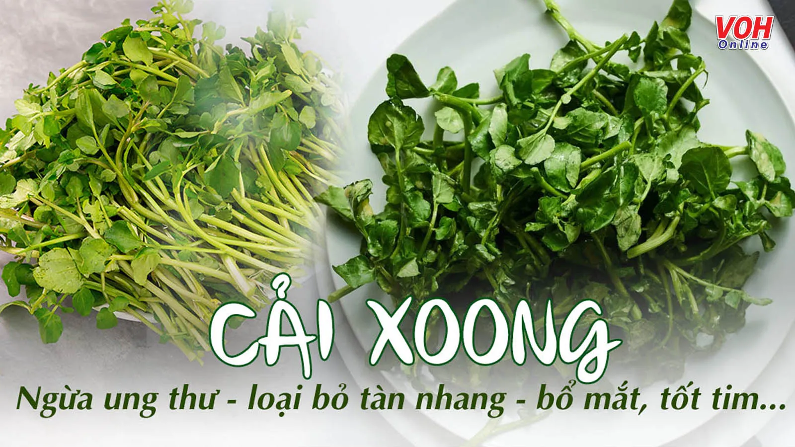 11 tác dụng của rau cải xoong đối với sức khỏe