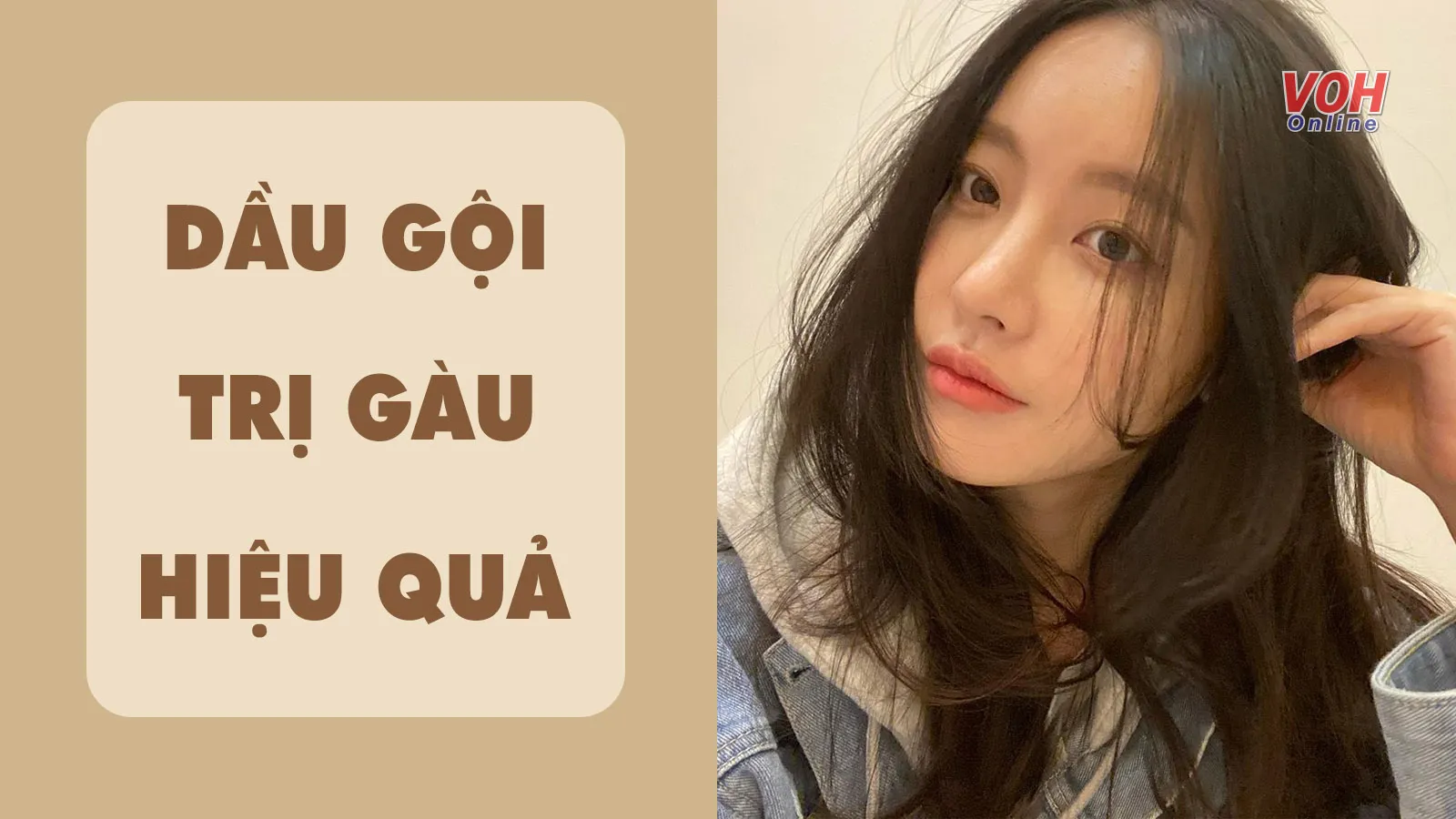 Top 10 dầu gội trị gàu được ưa chuộng nhất hiện nay