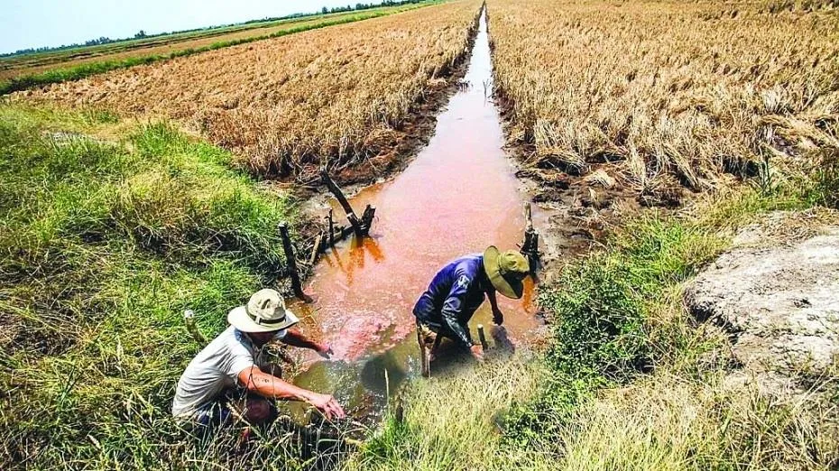 Xâm nhập mặn sẽ đến sớm, người dân cần chủ động ứng phó