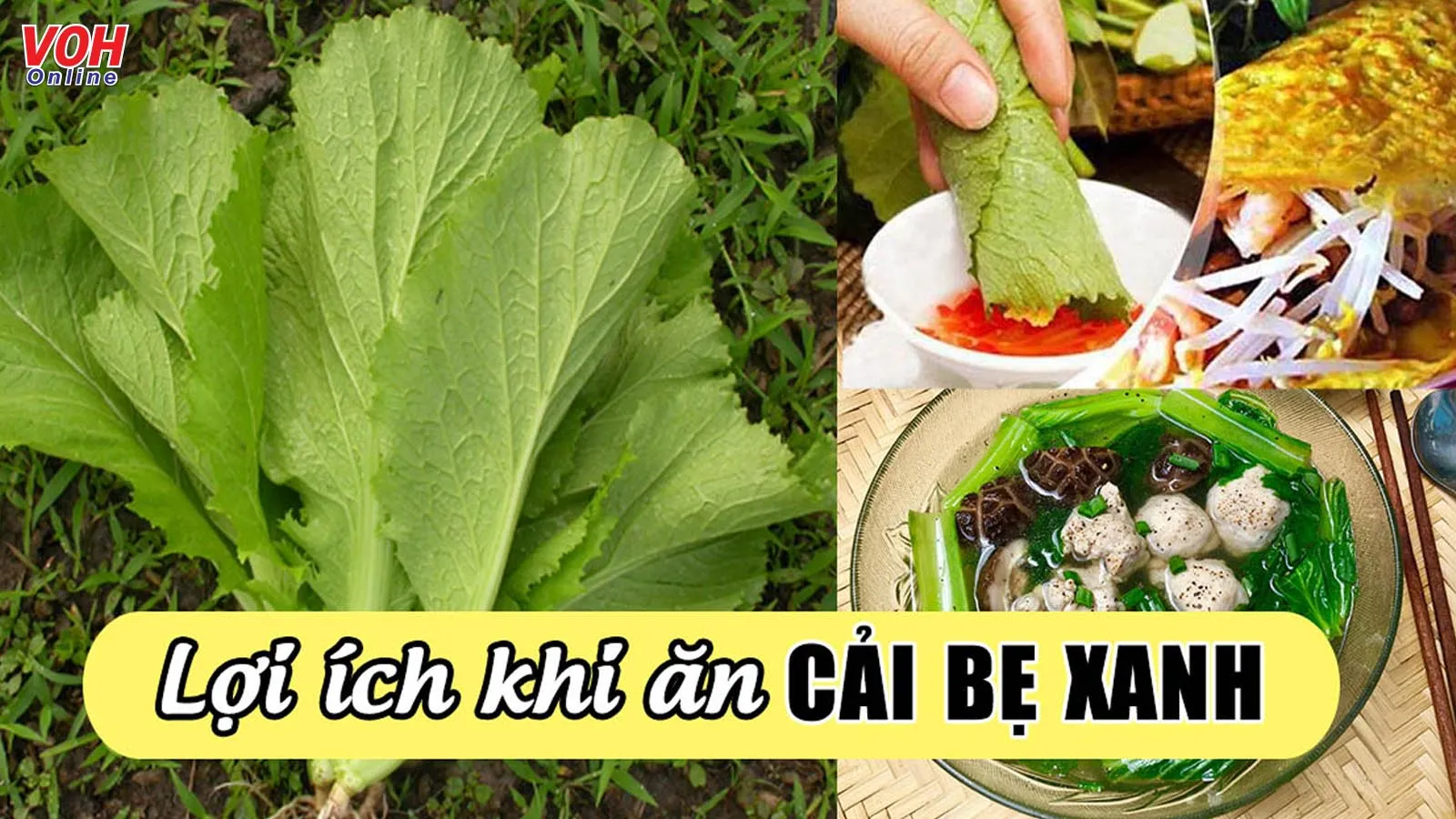 Ngoài dùng để nấu ăn thì rau cải bẹ xanh có tác dụng gì?