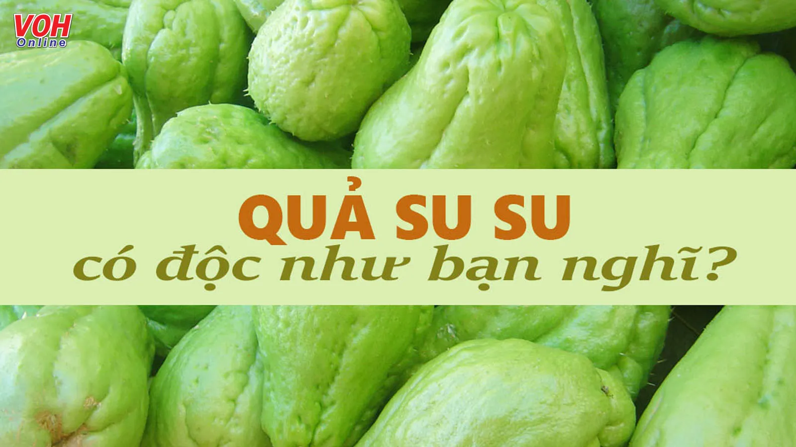 Những tác dụng của quả su su mang lại cho sức khỏe là gì?