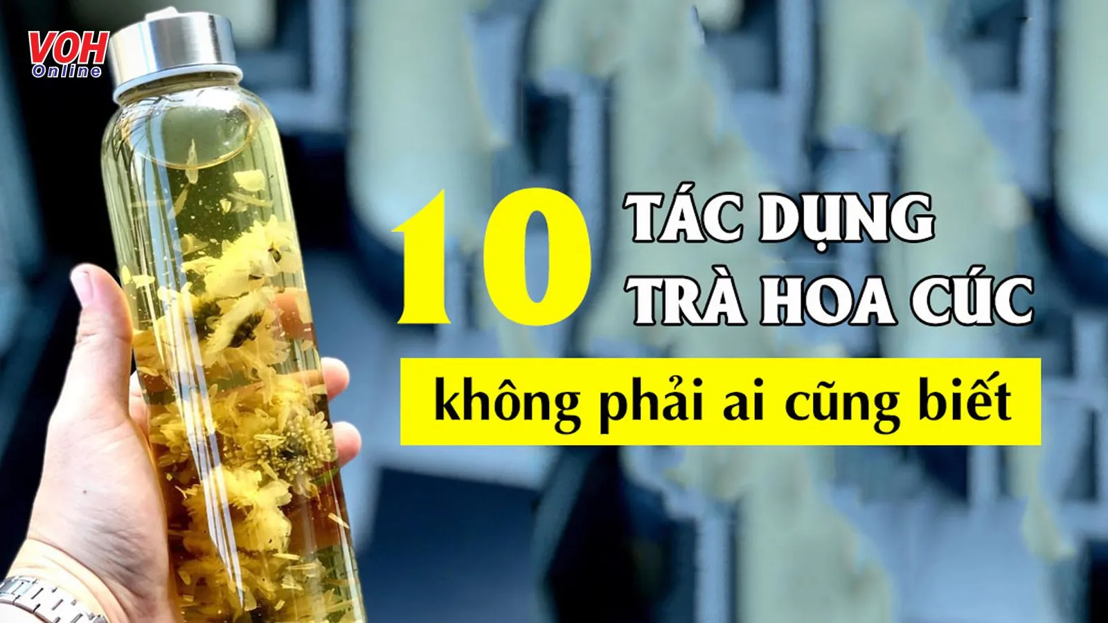 10 tác dụng của trà hoa cúc và những điều cần lưu ý khi dùng