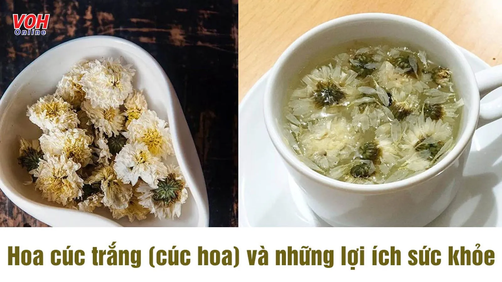 9 tác dụng của hoa cúc trắng (cúc hoa) với sức khỏe