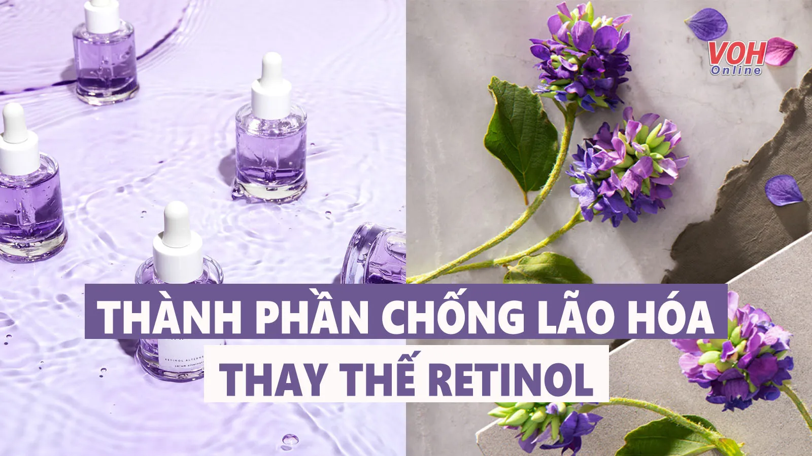 10 thành phần chống lão hóa hiệu quả không kém retinol