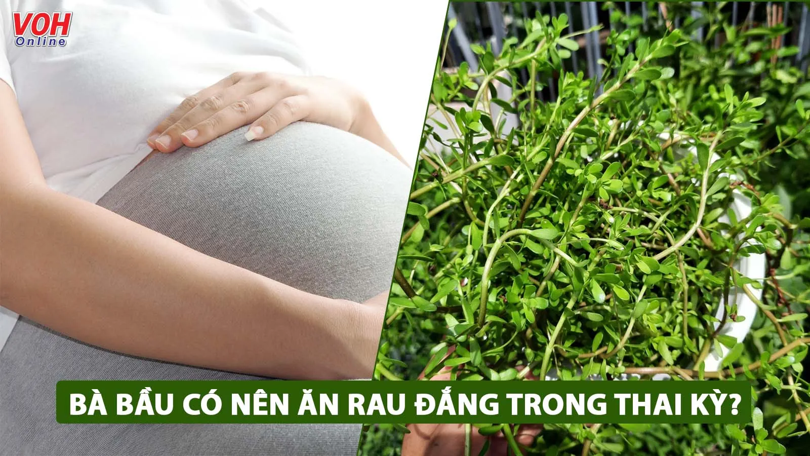 Bà bầu ăn rau đắng được không?