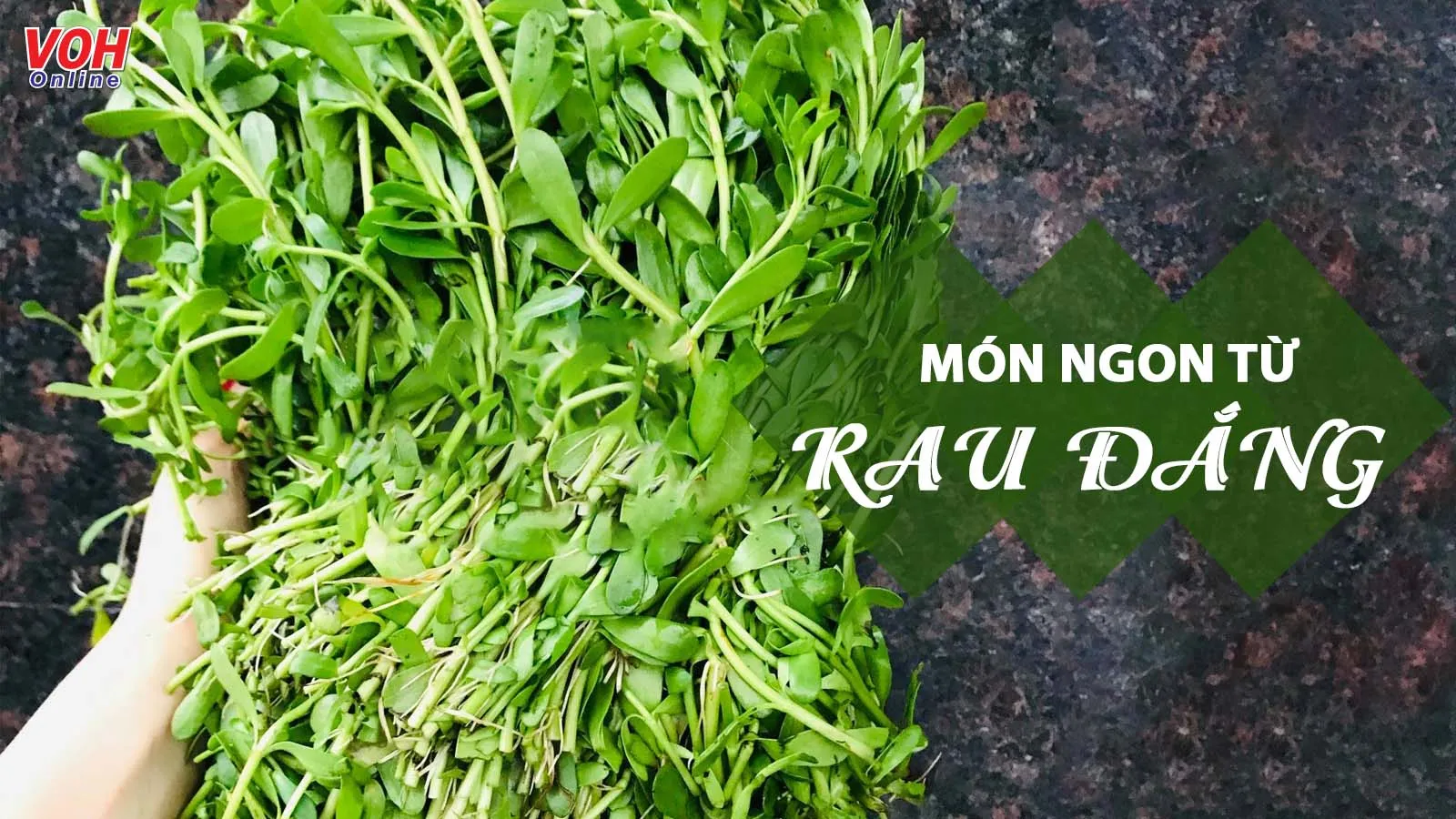 6 món ngon từ rau đắng giúp bạn gỡ rối rau đắng nấu gì ngon?