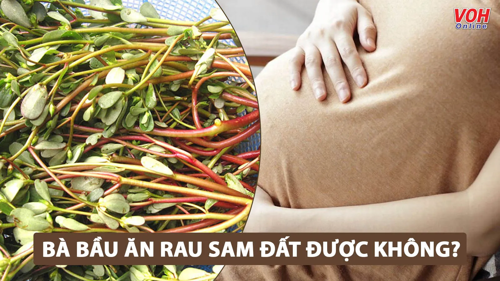 Giải đáp: Bà bầu ăn rau sam đất được không?