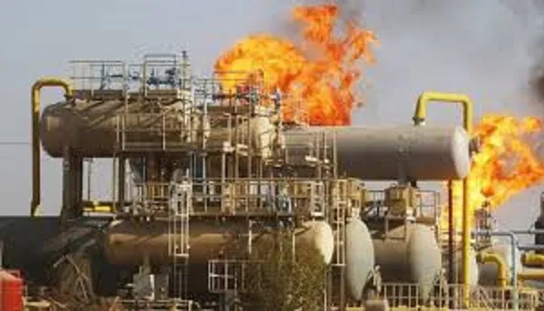 Giá xăng dầu hôm nay 12/11: Tiếp tục xu hướng tăng sau khi OPEC hạ dự báo lực cầu
