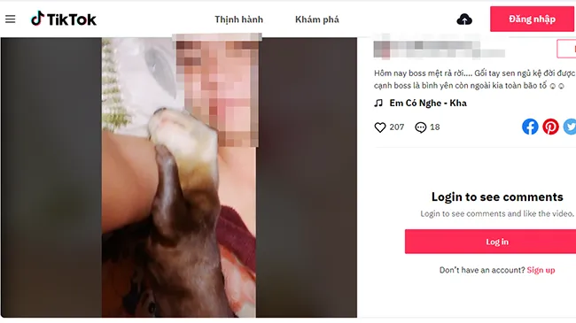TP Hồ Chí Minh: Một đối tượng bán rái cá làm thú cưng nhận bản án 18 tháng tù