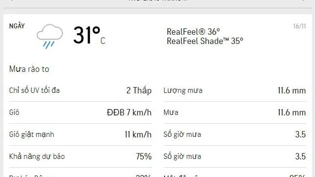 Dự báo thời tiết TPHCM hôm nay 16/11 và ngày mai 17/11/2021: Trời mát, chiều mưa