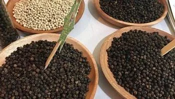 Giá cà phê hôm nay 16/11/2021: Robusta giảm kéo giá cà phê trong nước giảm