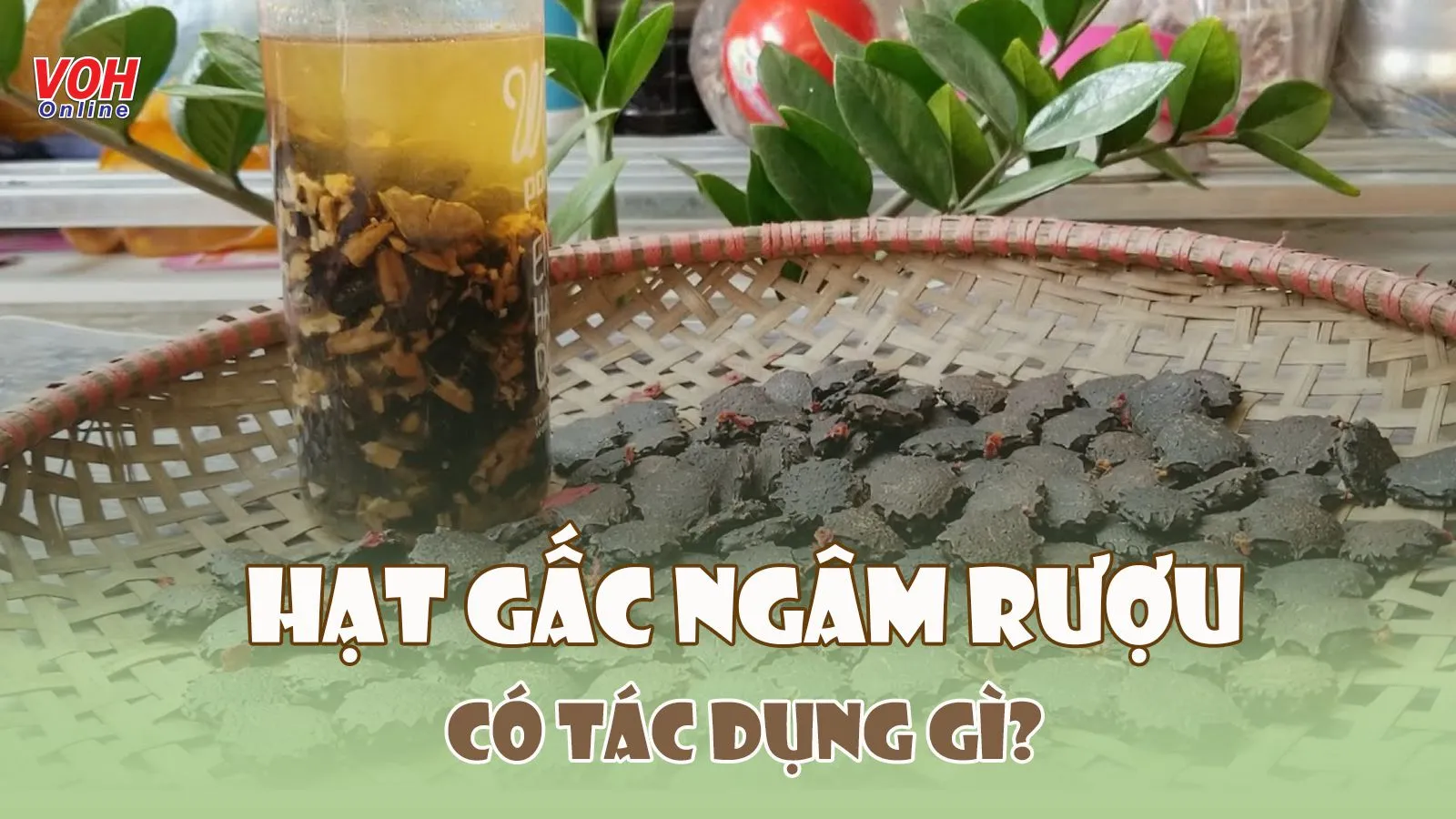 Hạt gấc ngâm rượu có tác dụng gì với sức khỏe và làm đẹp?