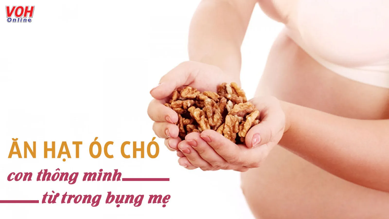 11 lợi ích sức khỏe hạt óc chó cho bà bầu khi sử dụng thường xuyên