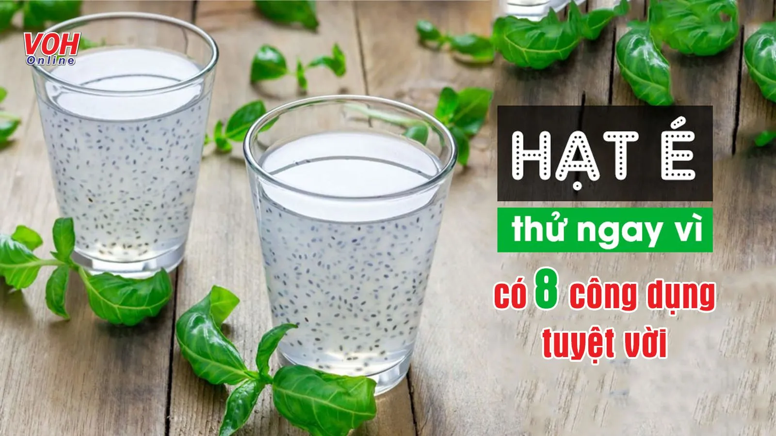 Hạt é từ cây gì? Khám phá 8 công dụng của hạt é với sức khỏe