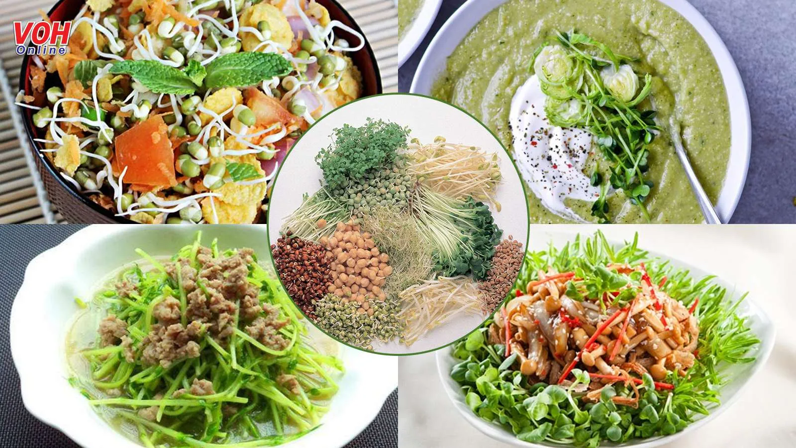 Đâu cần ‘đắn đo’ rau mầm làm món gì khi có 9 công thức này