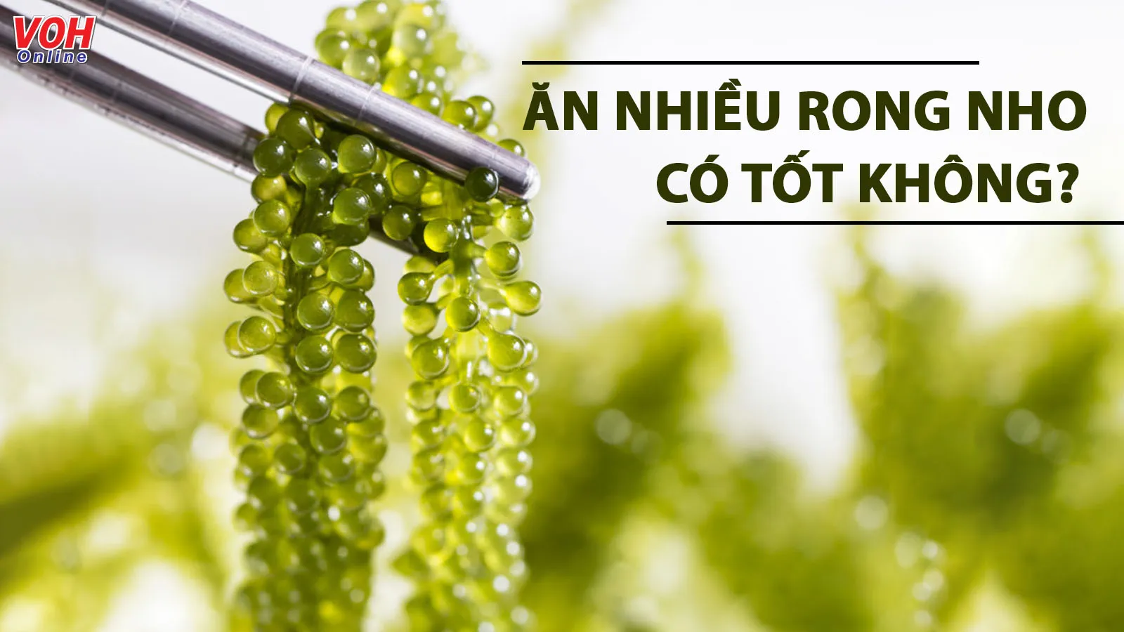 Ăn nhiều rong nho có tốt không và ăn bao nhiêu là đủ?