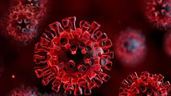 Virus Sars-Cov-2 có lây qua đồ ăn ?