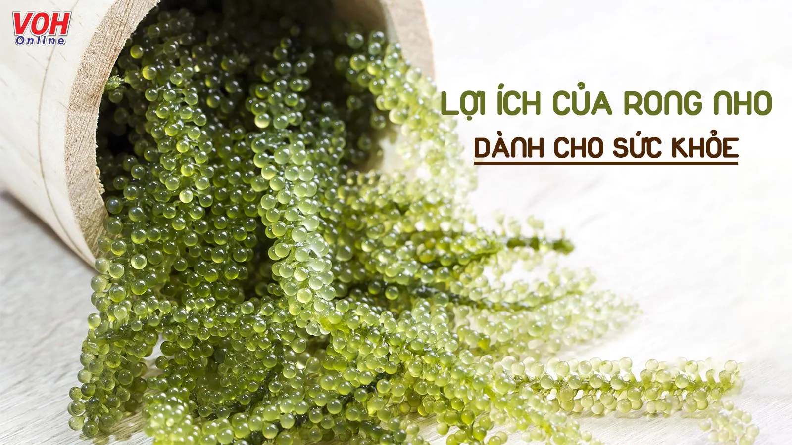 Khám phá 9 tác dụng của rong nho dành cho sức khỏe