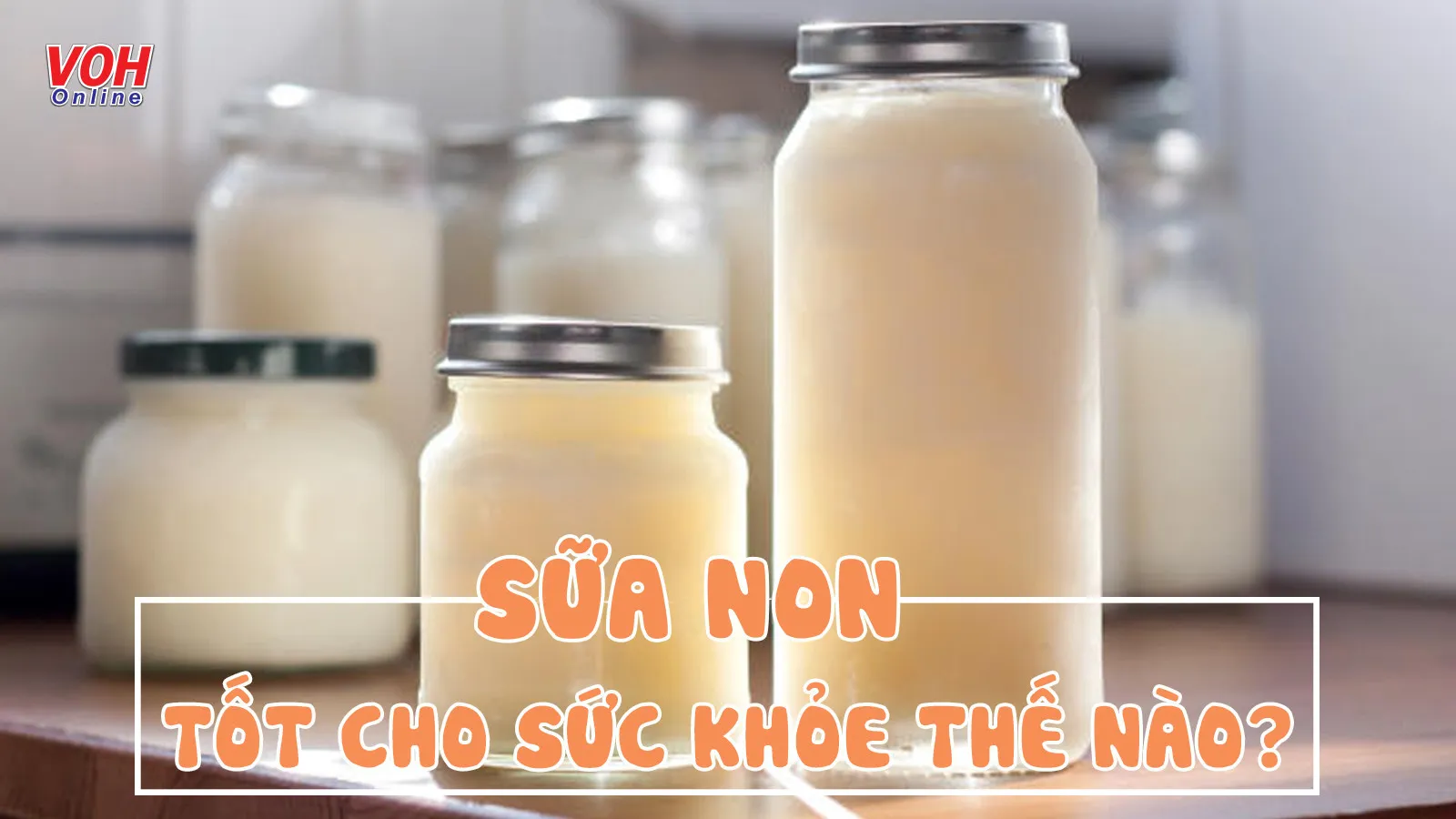 Tác dụng của sữa non cho người lớn và cho bé có gì đặc biệt?