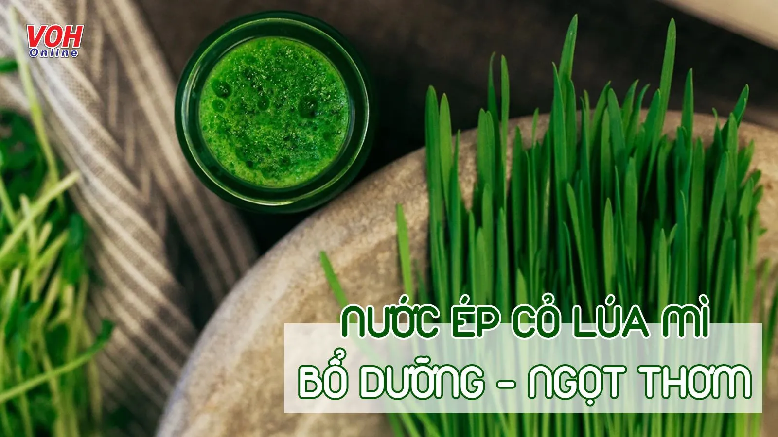 Điểm qua 9 cách làm nước ép cỏ lúa mì đơn giản tại nhà