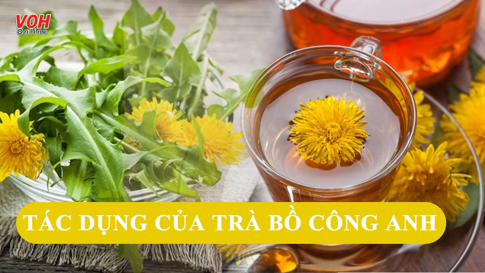 Trà bồ công anh có tác dụng gì cho sức khỏe?