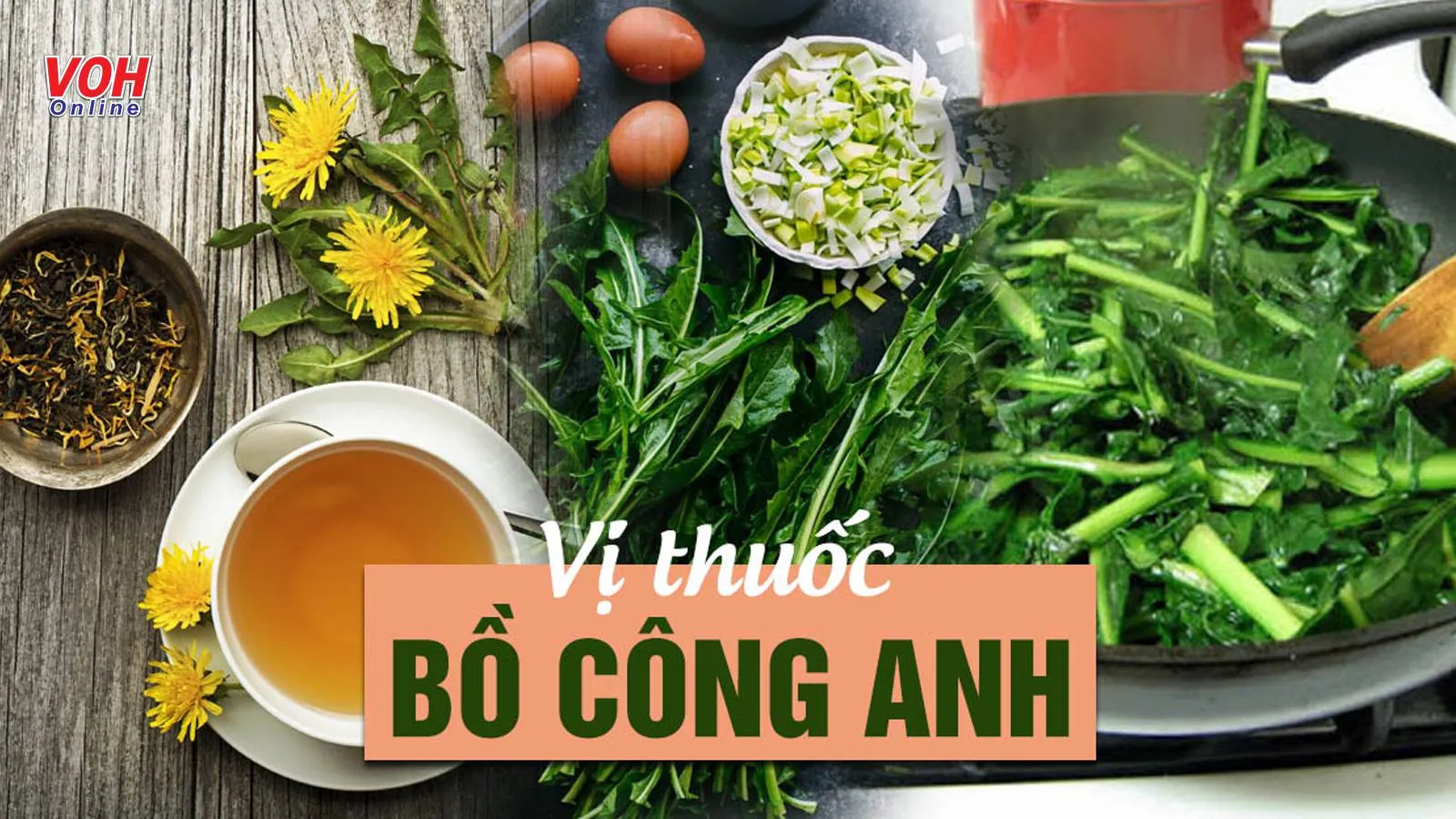 Tác dụng của cây bồ công anh với sức khỏe như thế nào?