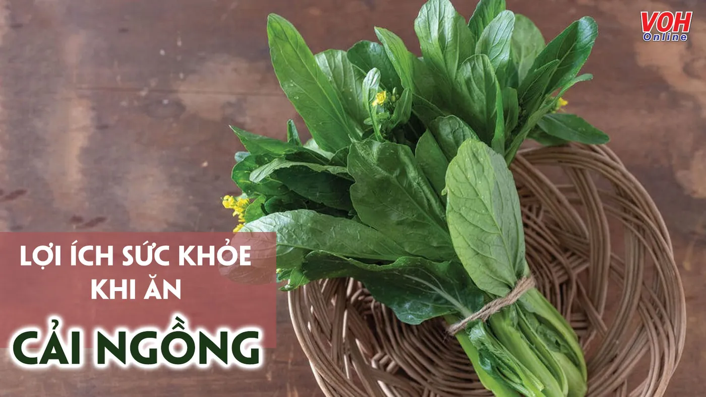 8 tác dụng của rau cải mèo – ‘tinh hoa’ trời đất ở miền Tây Bắc