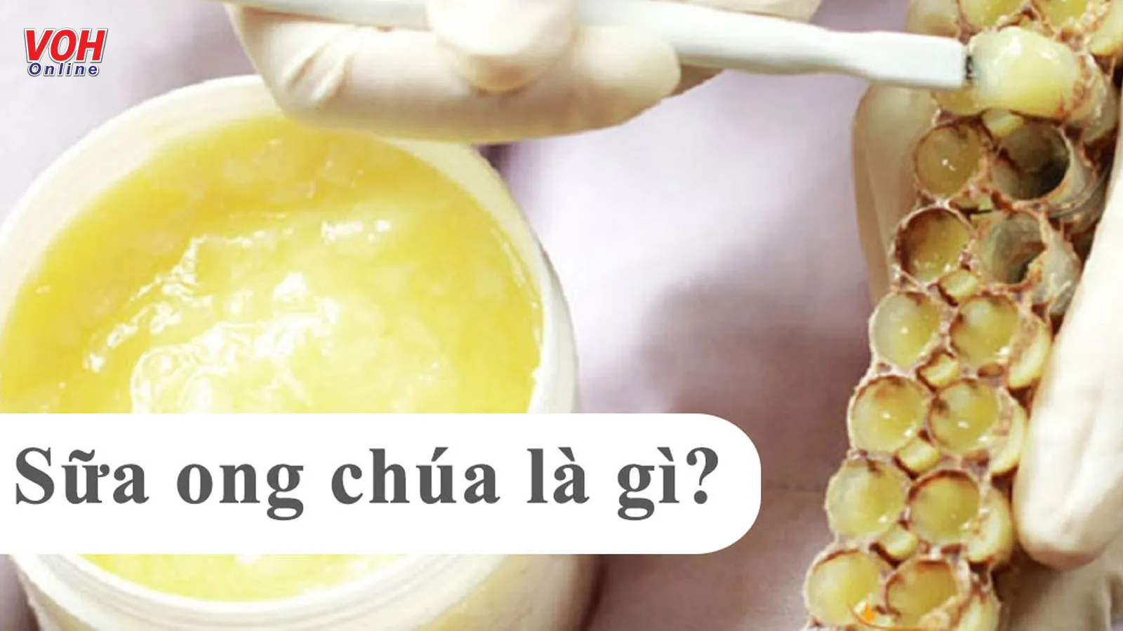 Sữa ong chúa có tác dụng gì? Lưu ý cách dùng và bảo quản