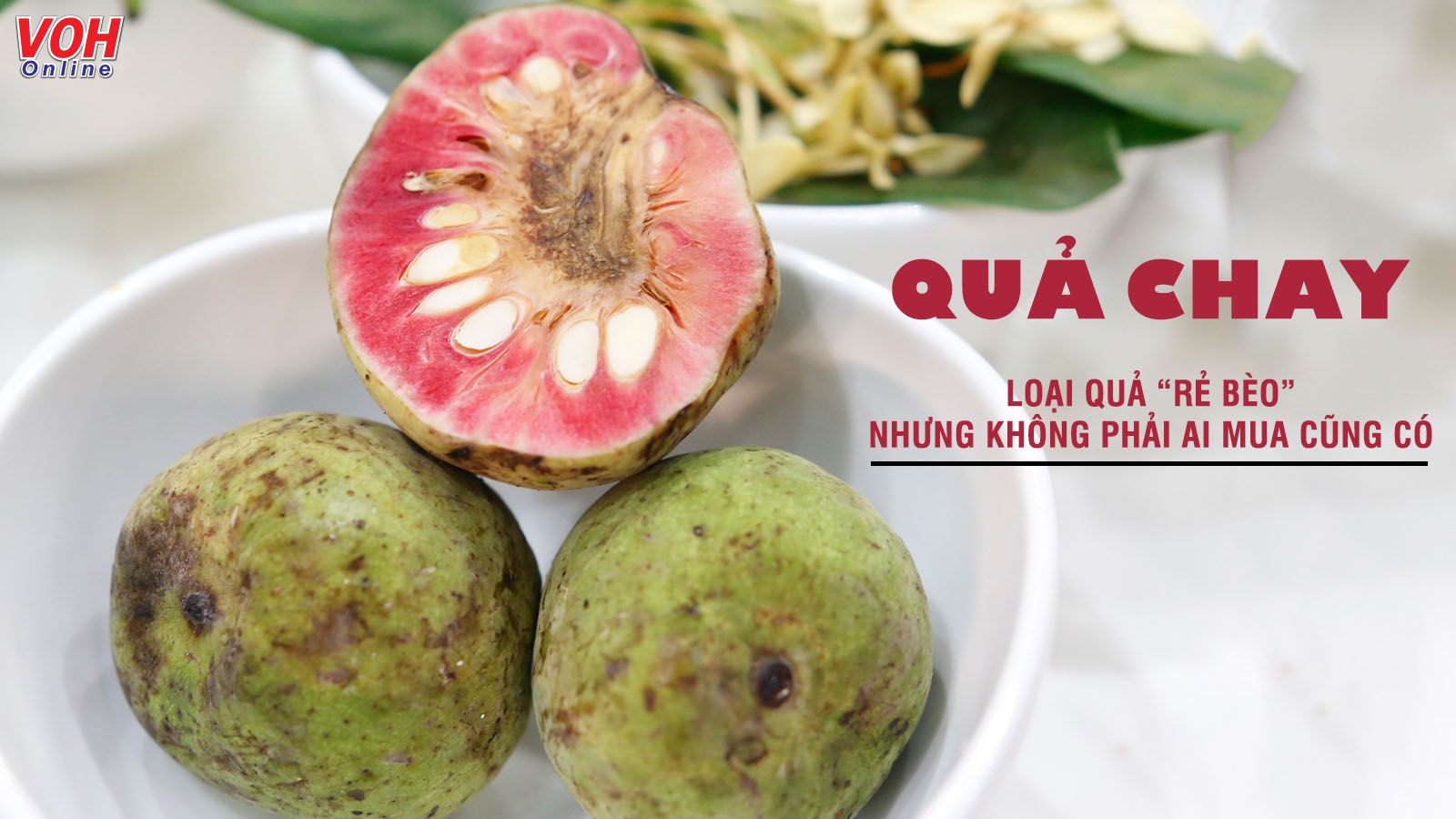 Những tác dụng của quả chay tốt cho sức khỏe nhưng ít người biết