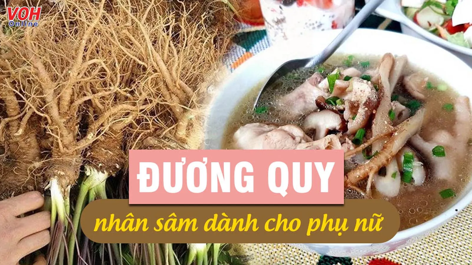 Đương quy – vị thuốc quý, có lợi cho sức khỏe và sắc đẹp