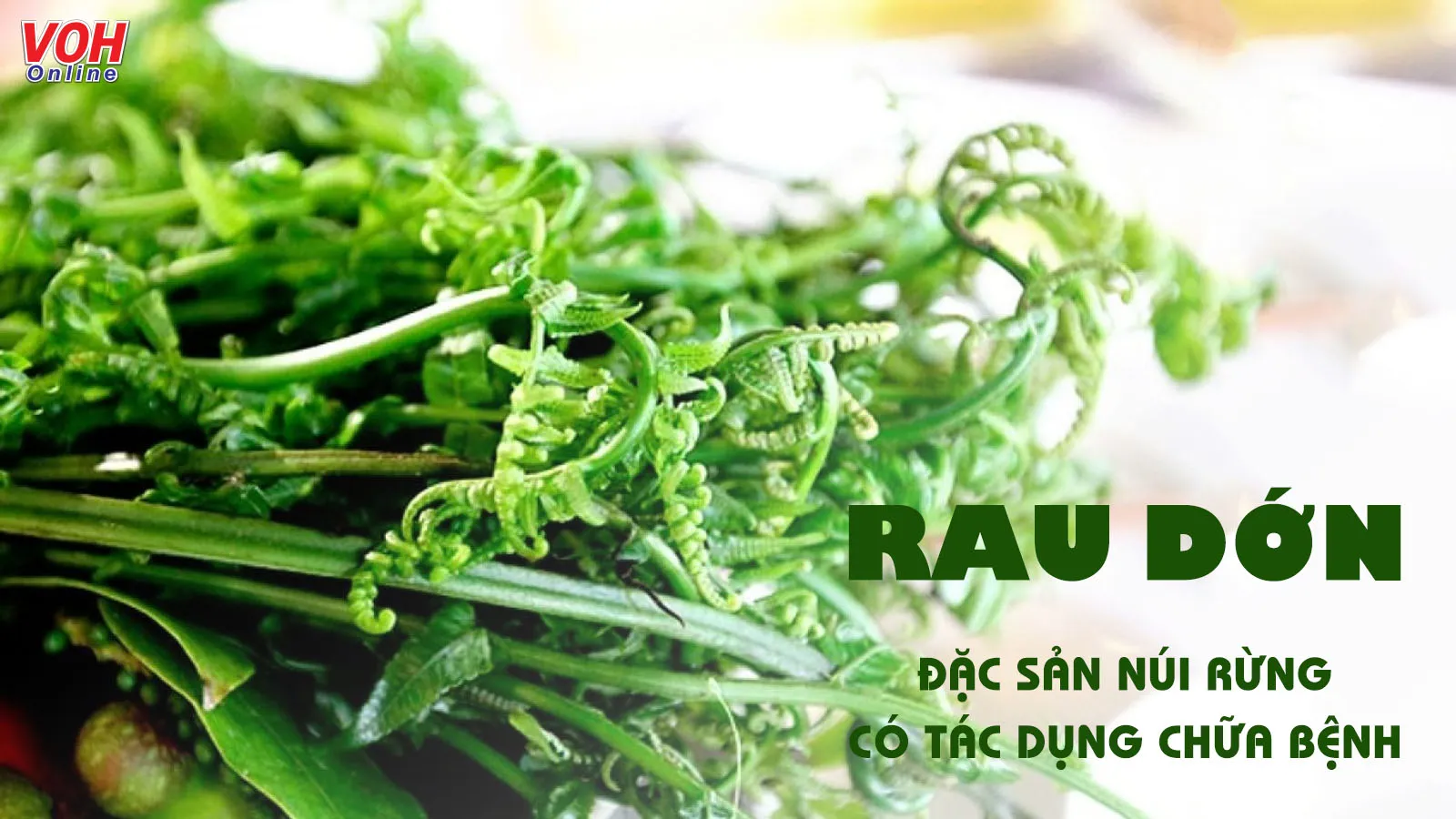 Những tác dụng của rau dớn dành cho sức khỏe