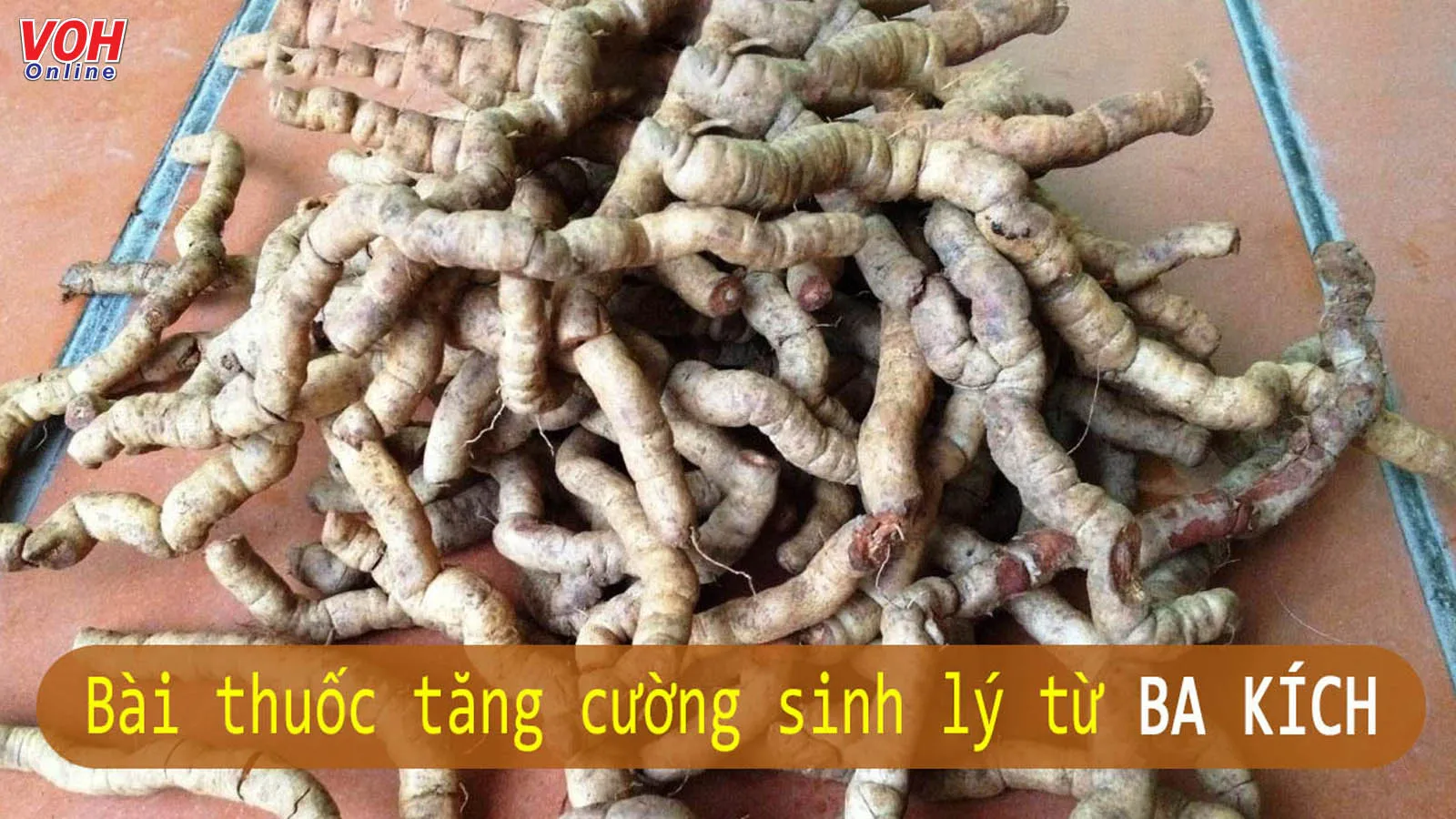 Tác dụng của ba kích: bổ thận, tráng dương và những lợi ích khác