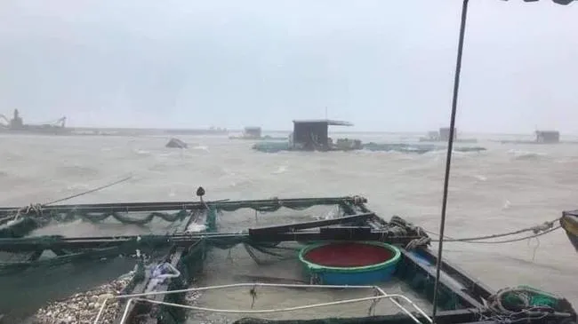 Tin bão số 9 sáng 19/12: Tại đảo Lý Sơn gió giật cấp 9