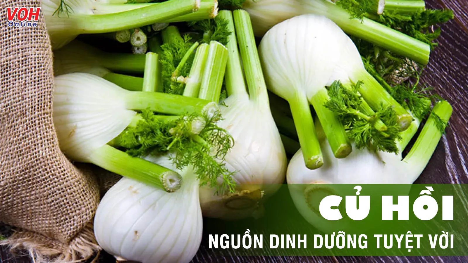 Củ hồi: Tác dụng, cách chế biến và những lưu ý khi sử dụng