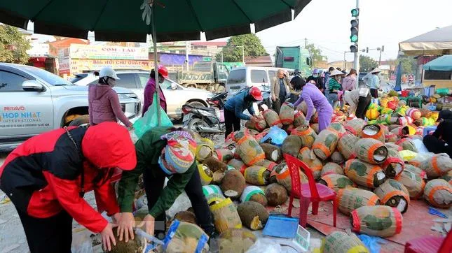 Tin nóng chiều 24/12/2021: Ùn ứ tại cửa khẩu, mít rớt giá tận đáy