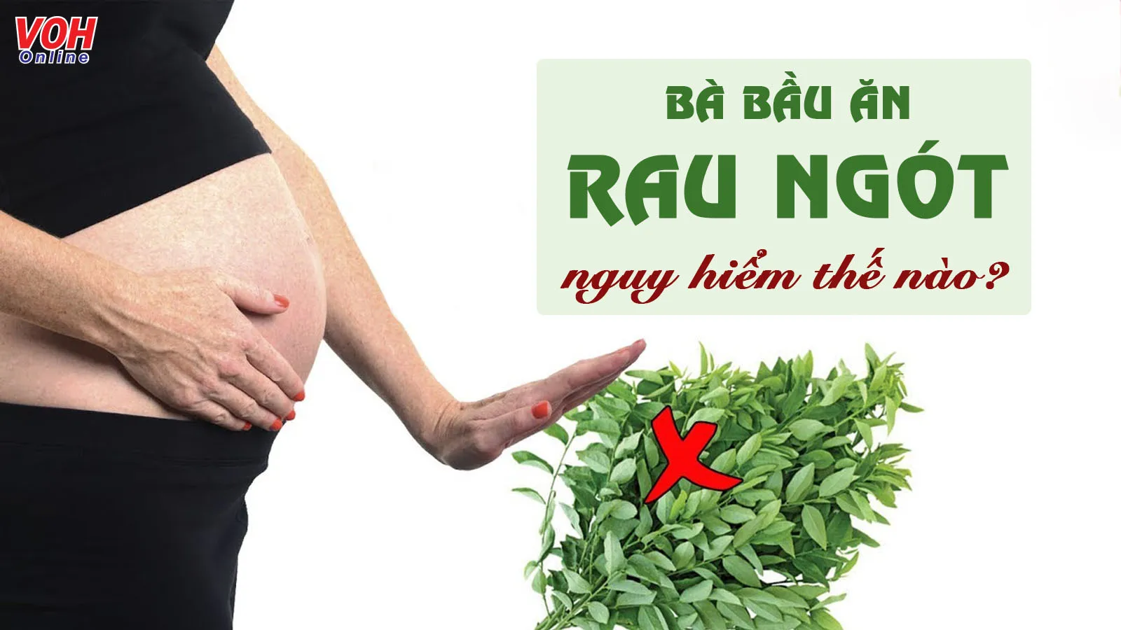 Bà bầu ăn rau ngót được không và cần lưu ý điều gì?