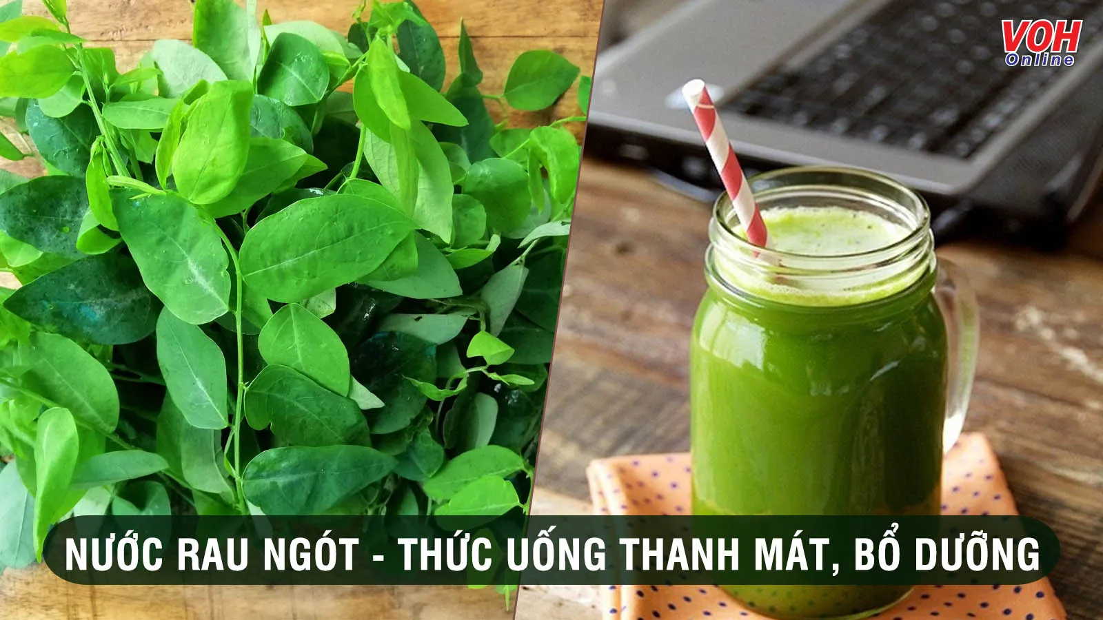 Uống nước rau ngót có tác dụng gì cho sức khỏe?