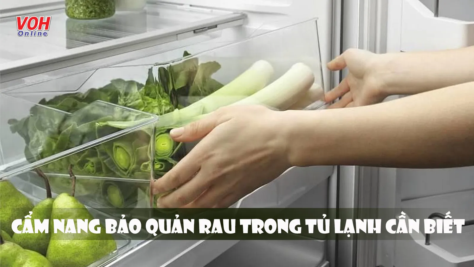 Học cách bảo quản rau trong tủ lạnh tươi ngon như mới