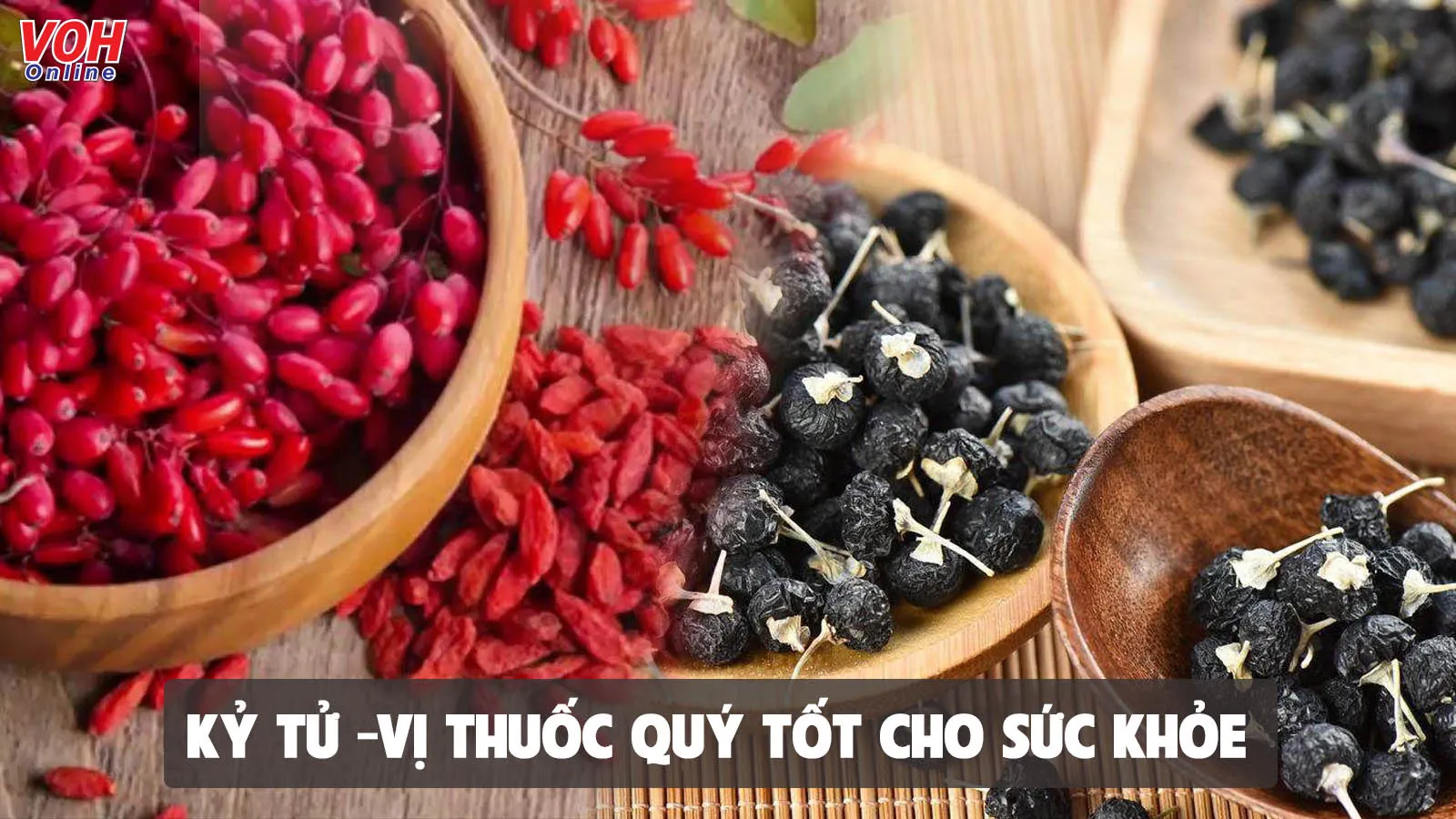 Kỷ tử có tác dụng gì mà sử dụng đúng cách lại tốt hơn vạn lần nhân sâm?