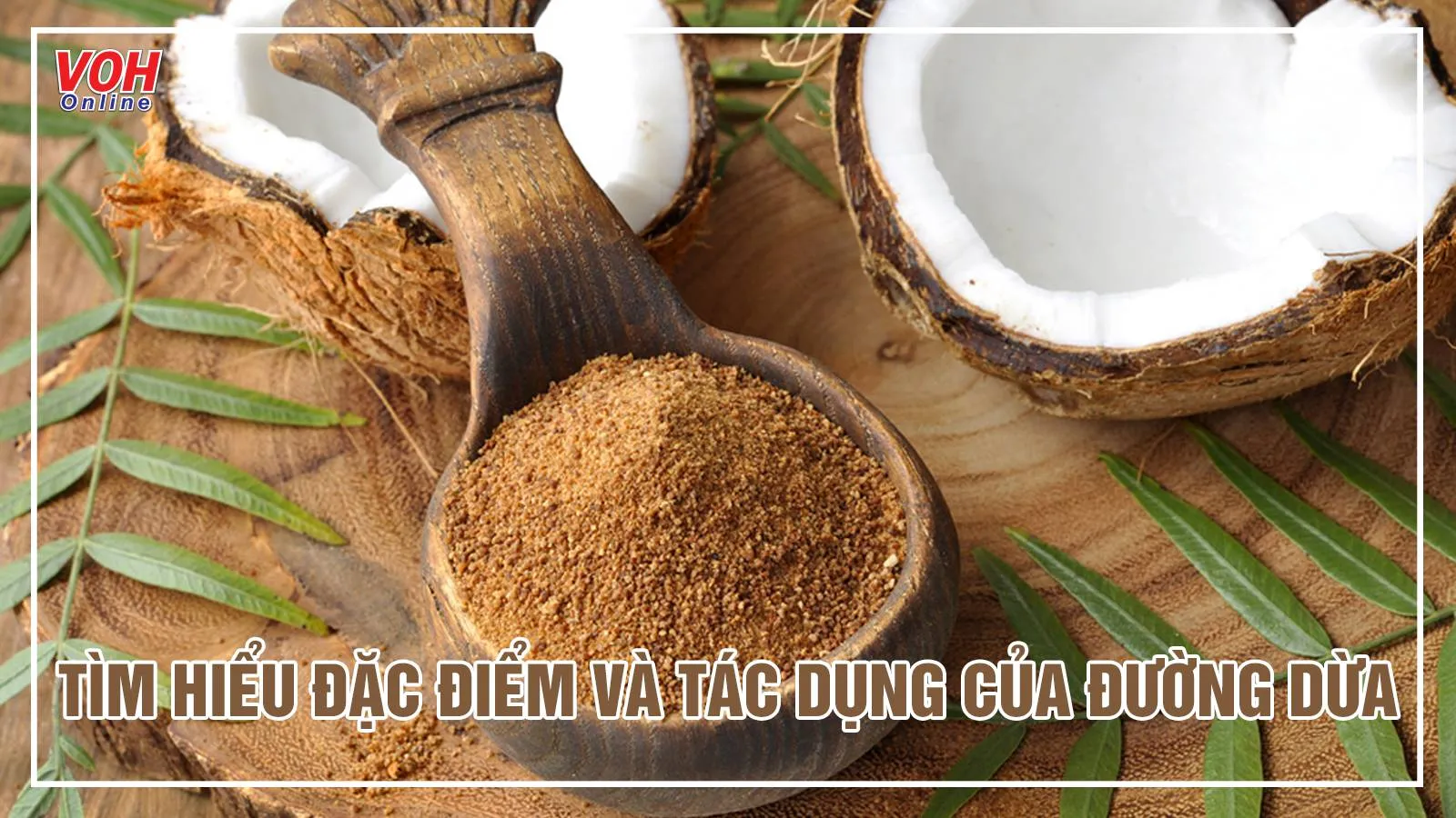 Đường dừa là gì? Dùng đường dừa có tốt không và cần lưu ý gì?