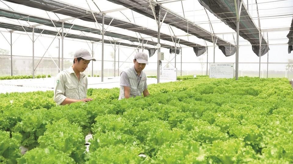 Nông dân kiến nghị Thành phố tháo gỡ các vướng mắc trong phát triển nông nghiệp