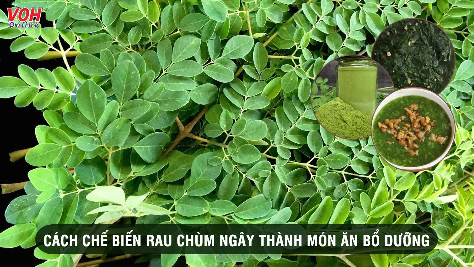 Rau chùm ngây nấu với gì ngon và bổ dưỡng?