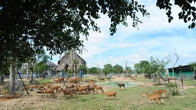 Khai trương Vườn thú lớn nhất Long An