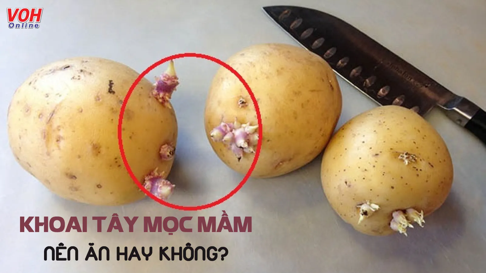 Có nên ăn khoai tây mọc mầm hay không?